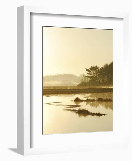 Quiet Moments Overlooking the Marsh at Dawn, Scarborough,Maine-Nance Trueworthy-Framed Photographic Print