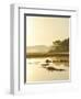 Quiet Moments Overlooking the Marsh at Dawn, Scarborough,Maine-Nance Trueworthy-Framed Photographic Print