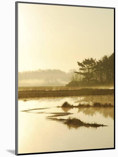 Quiet Moments Overlooking the Marsh at Dawn, Scarborough,Maine-Nance Trueworthy-Mounted Photographic Print