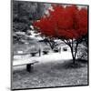 Quiet Moments-null-Mounted Premium Giclee Print