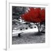 Quiet Moments-null-Framed Premium Giclee Print