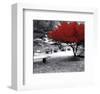 Quiet Moments-null-Framed Premium Giclee Print