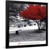 Quiet Moments-null-Framed Art Print