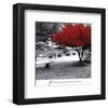 Quiet Moments-null-Framed Art Print