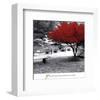 Quiet Moments-null-Framed Art Print