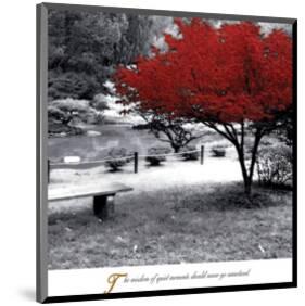 Quiet Moments-null-Mounted Art Print
