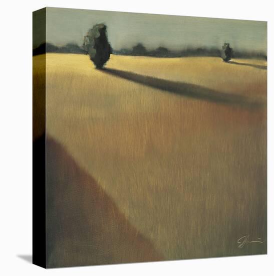 Quiet Mood II-Jeff Surret-Stretched Canvas