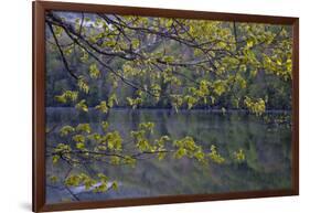 Quiet Morning in Fall, Cabot Trail, Cape Breton, Nova Scotia, Canada, North America-Patrick J. Wall-Framed Photographic Print