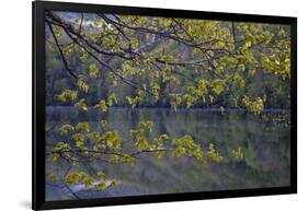 Quiet Morning in Fall, Cabot Trail, Cape Breton, Nova Scotia, Canada, North America-Patrick J. Wall-Framed Photographic Print