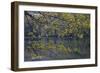 Quiet Morning in Fall, Cabot Trail, Cape Breton, Nova Scotia, Canada, North America-Patrick J. Wall-Framed Photographic Print