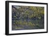 Quiet Morning in Fall, Cabot Trail, Cape Breton, Nova Scotia, Canada, North America-Patrick J. Wall-Framed Photographic Print