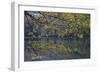 Quiet Morning in Fall, Cabot Trail, Cape Breton, Nova Scotia, Canada, North America-Patrick J. Wall-Framed Photographic Print