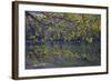 Quiet Morning in Fall, Cabot Trail, Cape Breton, Nova Scotia, Canada, North America-Patrick J. Wall-Framed Photographic Print