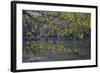 Quiet Morning in Fall, Cabot Trail, Cape Breton, Nova Scotia, Canada, North America-Patrick J. Wall-Framed Photographic Print