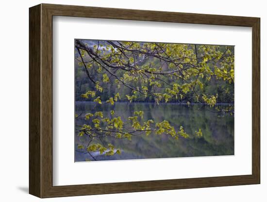 Quiet Morning in Fall, Cabot Trail, Cape Breton, Nova Scotia, Canada, North America-Patrick J. Wall-Framed Photographic Print