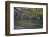 Quiet Morning in Fall, Cabot Trail, Cape Breton, Nova Scotia, Canada, North America-Patrick J. Wall-Framed Photographic Print