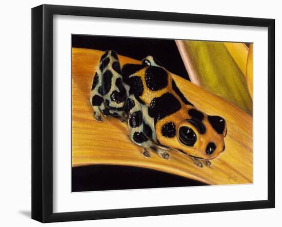 Quiet Morning-Barbara Keith-Framed Giclee Print