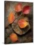 Quiet Nature Fall Collection 3-Julie Greenwood-Stretched Canvas