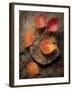 Quiet Nature Fall Collection 3-Julie Greenwood-Framed Premium Giclee Print