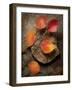 Quiet Nature Fall Collection 3-Julie Greenwood-Framed Premium Giclee Print