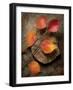 Quiet Nature Fall Collection 3-Julie Greenwood-Framed Premium Giclee Print