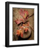 Quiet Nature Fall Collection 4-Julie Greenwood-Framed Art Print