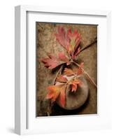 Quiet Nature Fall Collection 4-Julie Greenwood-Framed Art Print