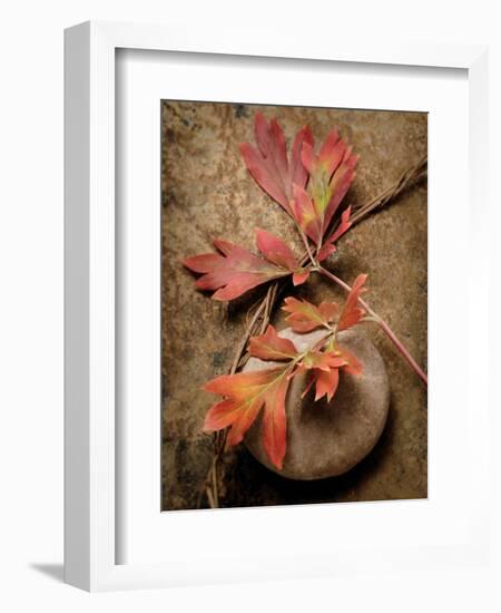 Quiet Nature Fall Collection 4-Julie Greenwood-Framed Art Print