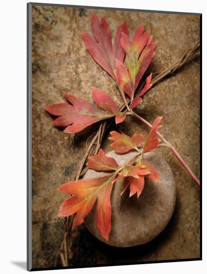 Quiet Nature Fall Collection 4-Julie Greenwood-Mounted Art Print