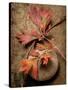 Quiet Nature Fall Collection 4-Julie Greenwood-Stretched Canvas