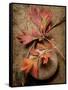 Quiet Nature Fall Collection 4-Julie Greenwood-Framed Stretched Canvas