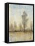 Quiet Nature I-Tim OToole-Framed Stretched Canvas