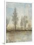 Quiet Nature II-Tim OToole-Framed Art Print