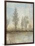 Quiet Nature II-Tim OToole-Framed Art Print