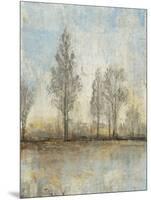 Quiet Nature II-Tim OToole-Mounted Art Print