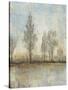 Quiet Nature II-Tim OToole-Stretched Canvas