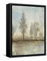 Quiet Nature II-Tim OToole-Framed Stretched Canvas