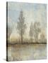 Quiet Nature II-Tim OToole-Stretched Canvas