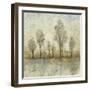 Quiet Nature III-Tim OToole-Framed Art Print