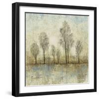 Quiet Nature III-Tim OToole-Framed Art Print