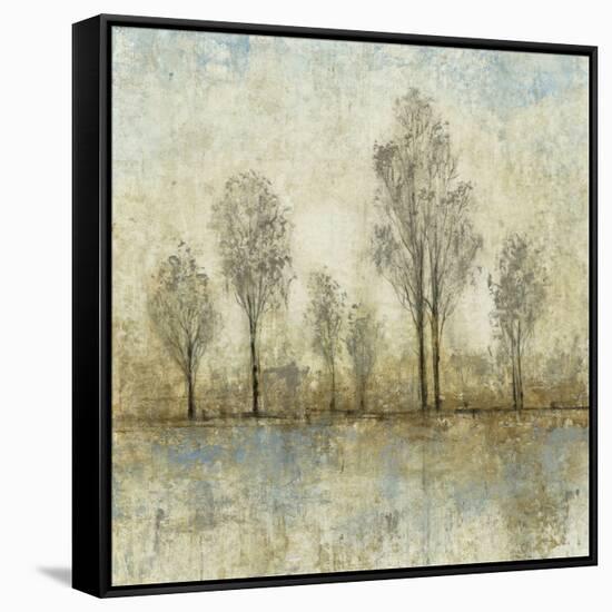 Quiet Nature III-Tim OToole-Framed Stretched Canvas