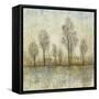 Quiet Nature III-Tim OToole-Framed Stretched Canvas