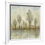 Quiet Nature III-Tim OToole-Framed Art Print