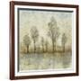 Quiet Nature III-Tim OToole-Framed Art Print