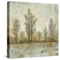 Quiet Nature IV-Tim OToole-Stretched Canvas