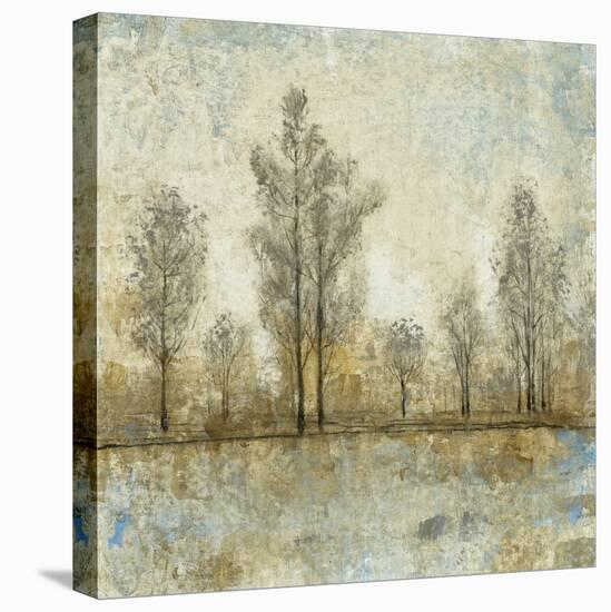 Quiet Nature IV-Tim OToole-Stretched Canvas