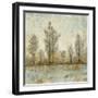 Quiet Nature IV-Tim OToole-Framed Art Print