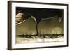 Quiet Observation-Staffan Widstrand-Framed Art Print