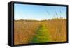 Quiet Path in to the Prairie-wildnerdpix-Framed Stretched Canvas