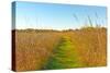 Quiet Path in to the Prairie-wildnerdpix-Stretched Canvas